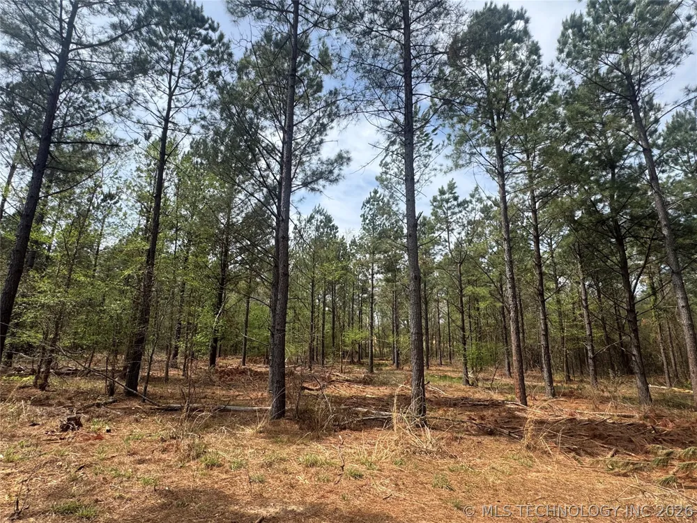 Milam Road Antlers, OK 74523