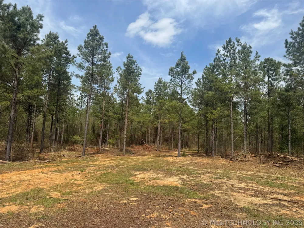 Milam Road Antlers, OK 74523