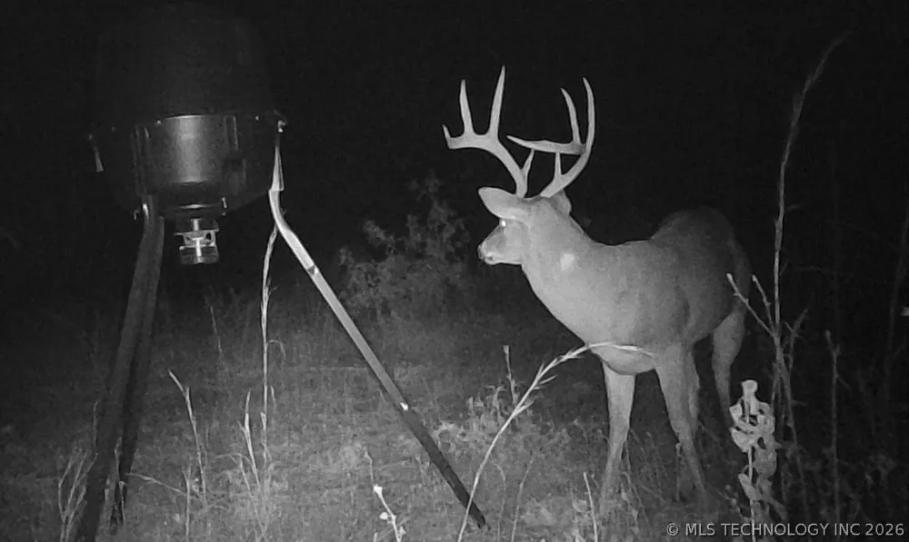 Milam Road Antlers, OK 74523