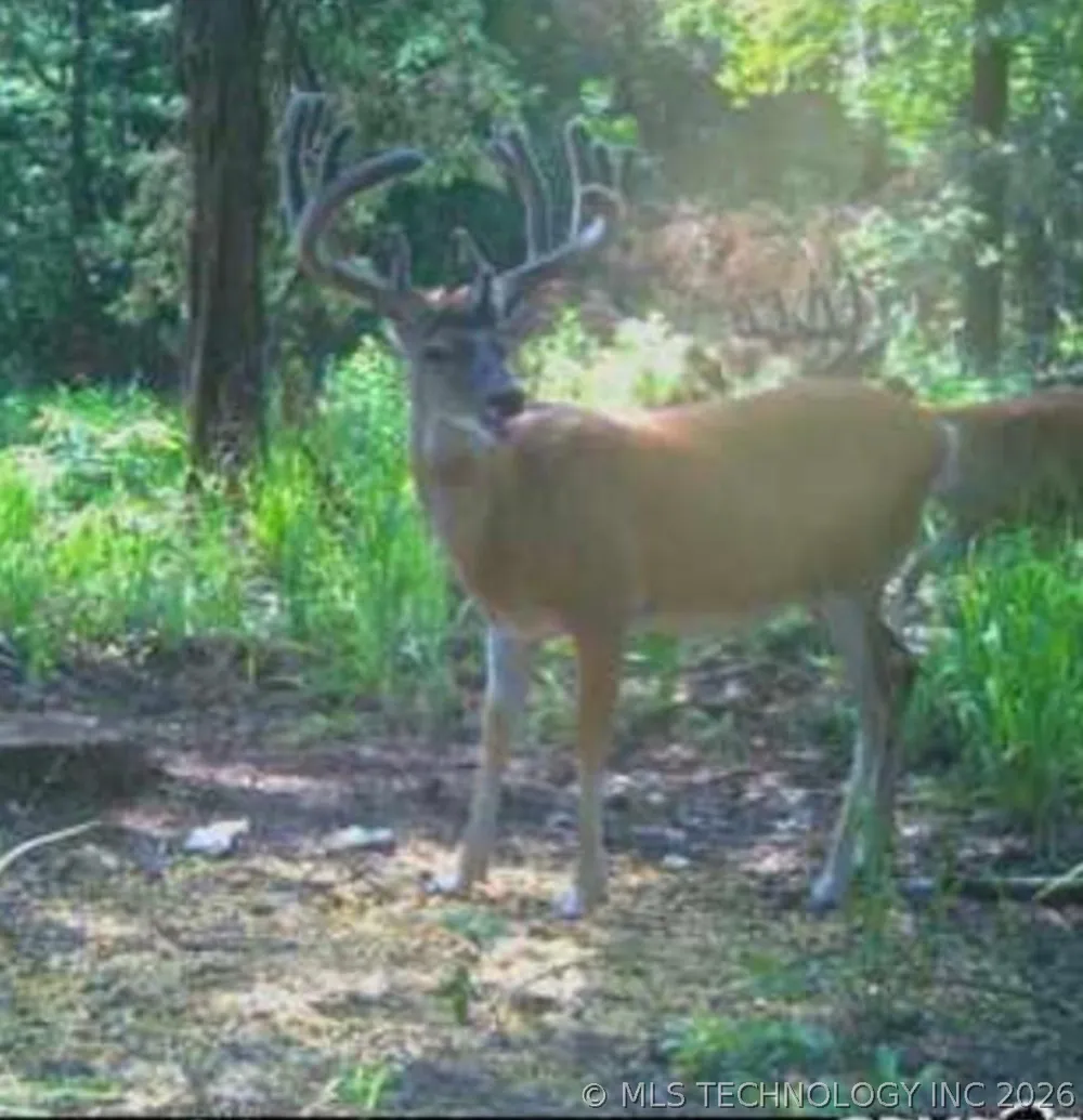 Milam Road Antlers, OK 74523