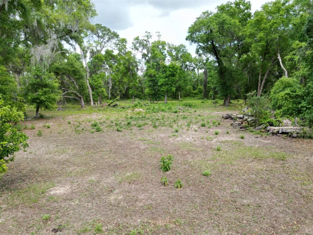 0000 SE 119 STREET Belleview, FL 34420