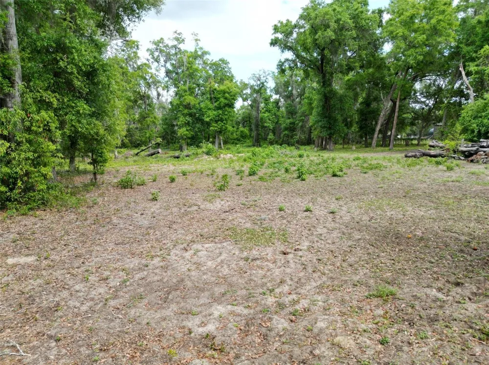 0000 SE 119 STREET Belleview, FL 34420