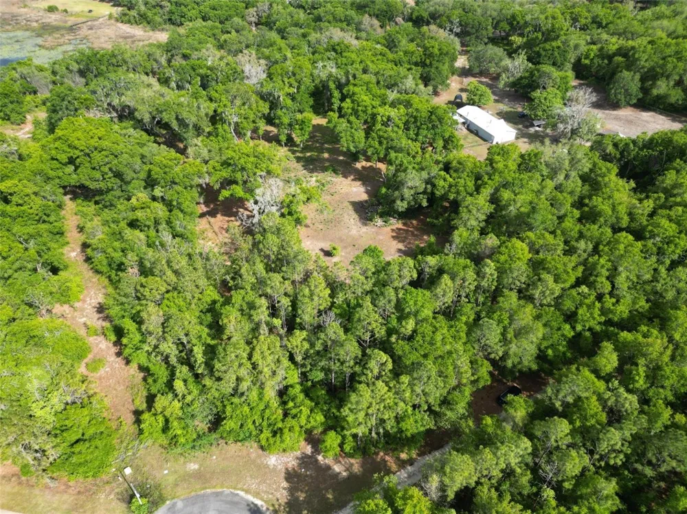 0000 SE 119 STREET Belleview, FL 34420