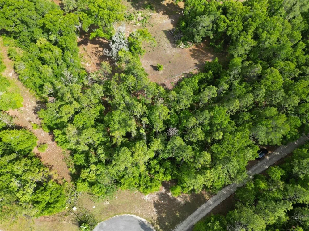 0000 SE 119 STREET Belleview, FL 34420