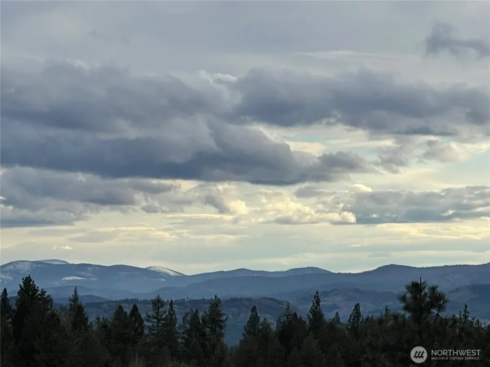 50 DOLL DRIVE Republic, WA 99166