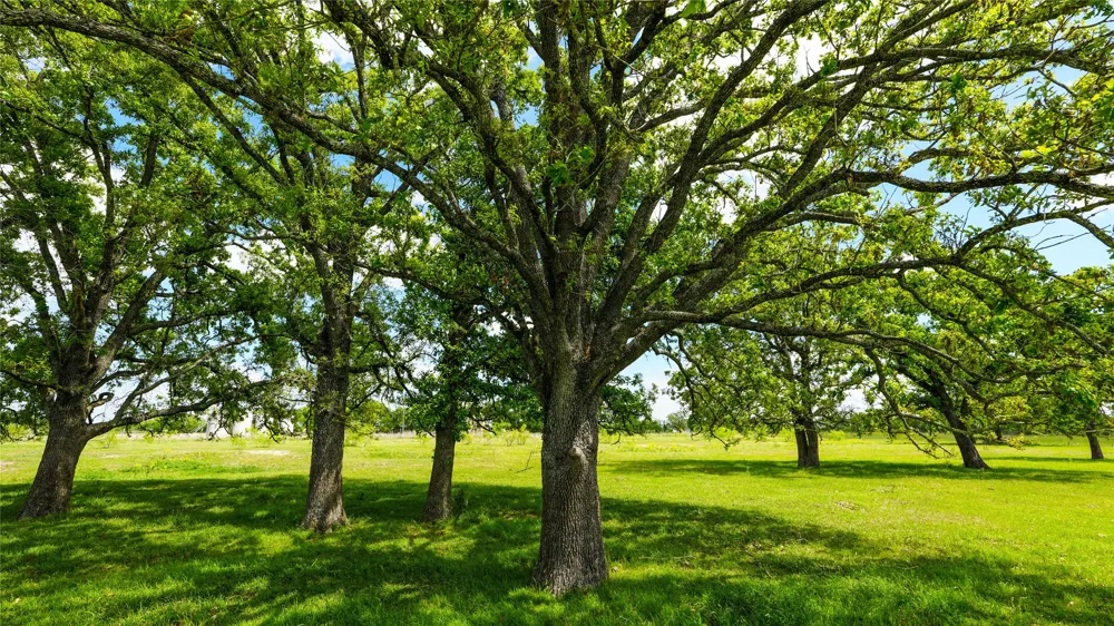 8770 Lee Lane North Zulch, TX 77872