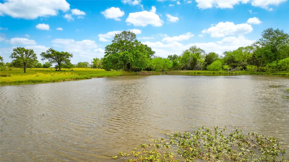 8770 Lee Lane North Zulch, TX 77872