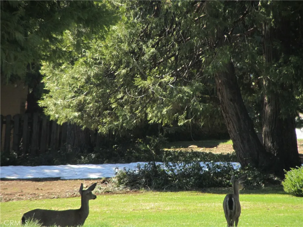 115 Lake Almanor West Drive Chester, CA 96020