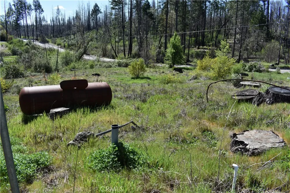 6 Sugar Pine Berry Creek, CA 95916