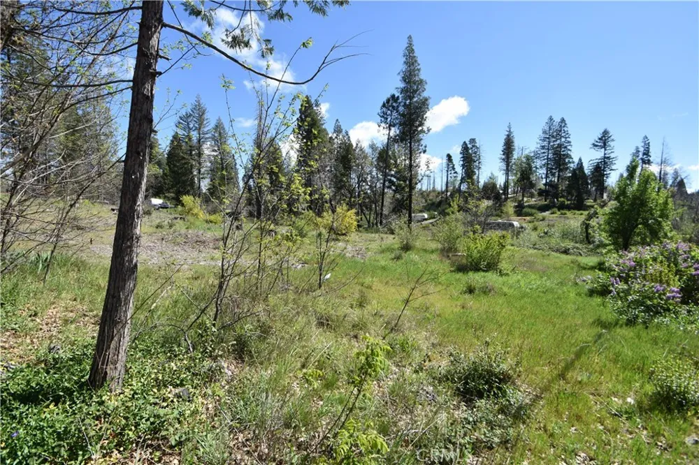 6 Sugar Pine Berry Creek, CA 95916