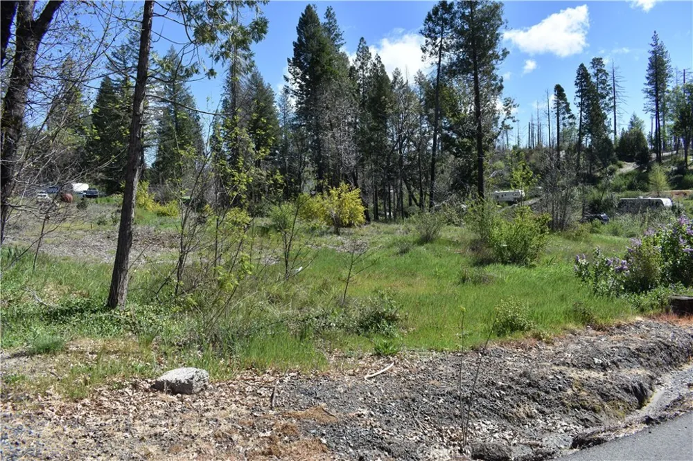 6 Sugar Pine Berry Creek, CA 95916
