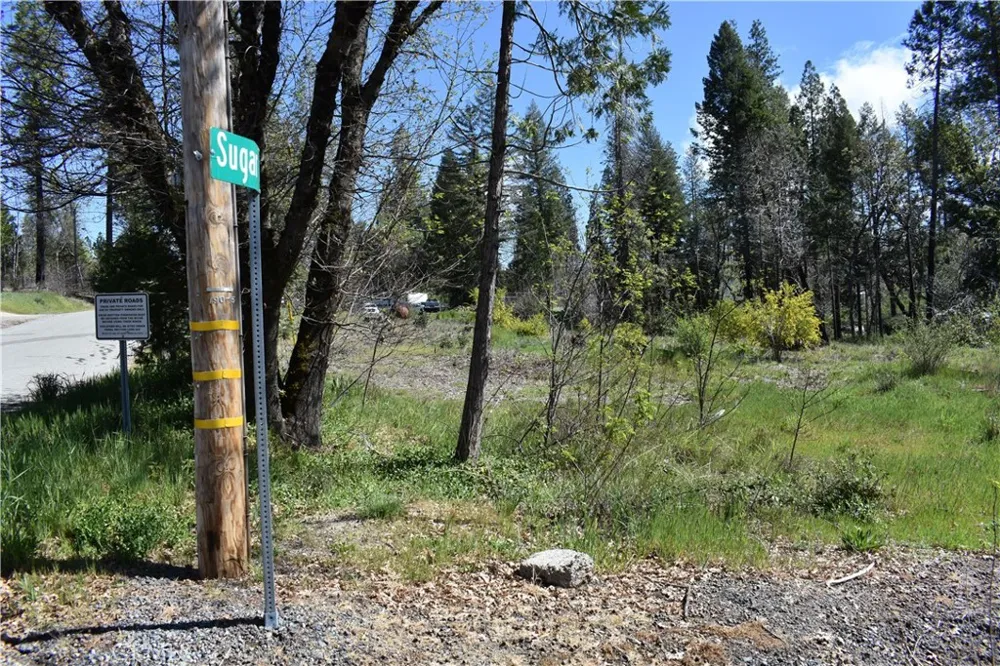 6 Sugar Pine Berry Creek, CA 95916