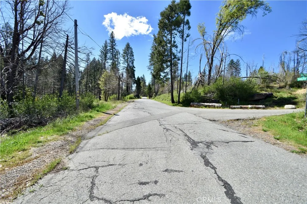 6 Sugar Pine Berry Creek, CA 95916
