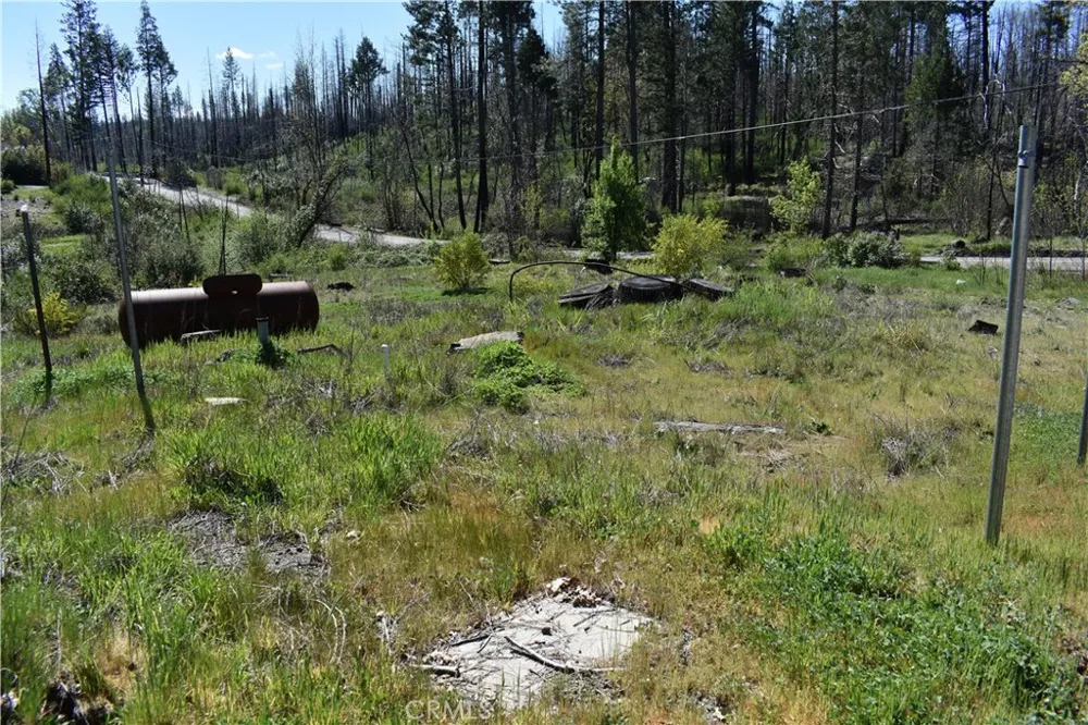 6 Sugar Pine Berry Creek, CA 95916
