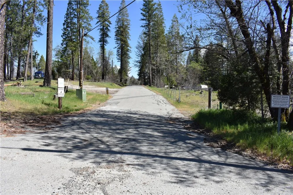 6 Sugar Pine Berry Creek, CA 95916