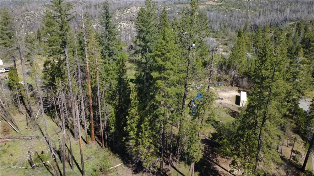 6 Sugar Pine Berry Creek, CA 95916
