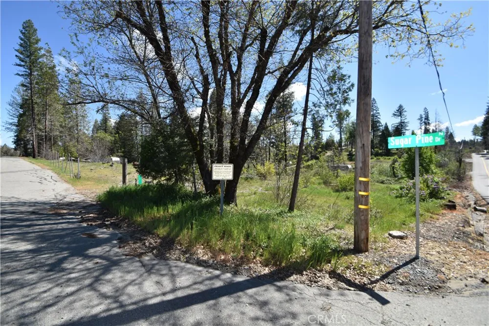 6 Sugar Pine Berry Creek, CA 95916