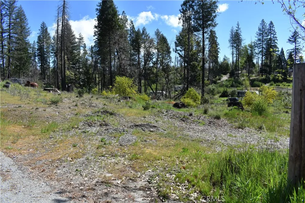 6 Sugar Pine Berry Creek, CA 95916