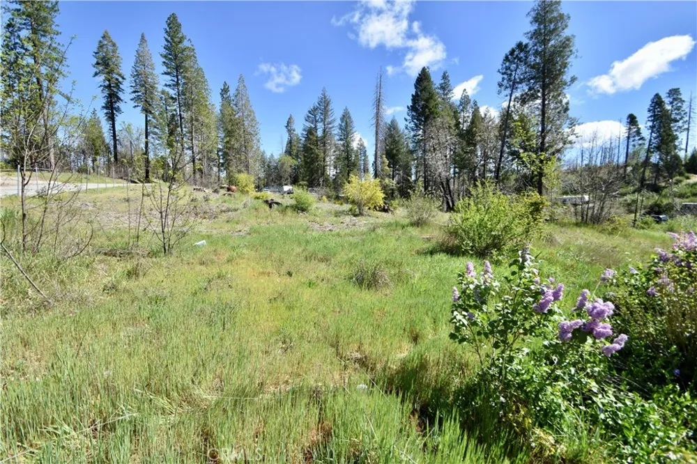 6 Sugar Pine Berry Creek, CA 95916