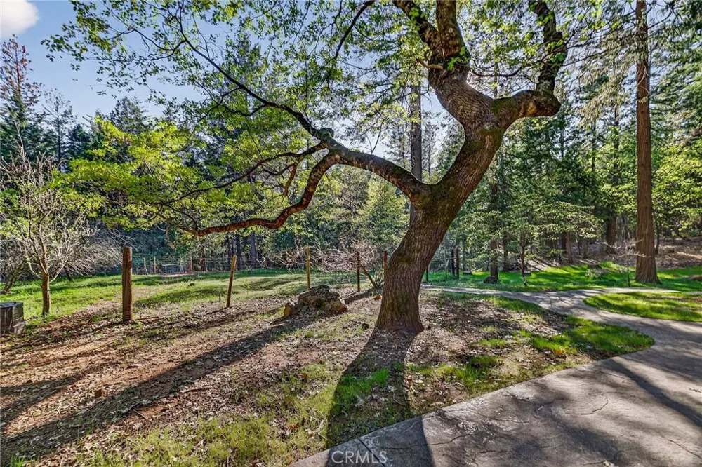 62 Hollow Oak Lane Chico, CA 95973