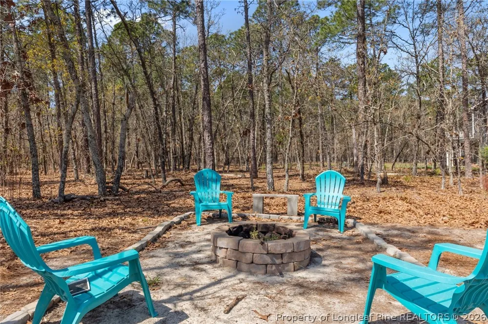 30220 W Lake Drive Wagram, NC 28396