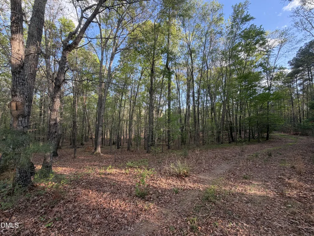 7870 Nc 42 Holly Springs, NC 27540