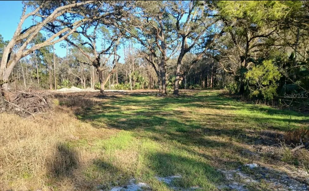 1013 CUPID AVENUE Christmas, FL 32709
