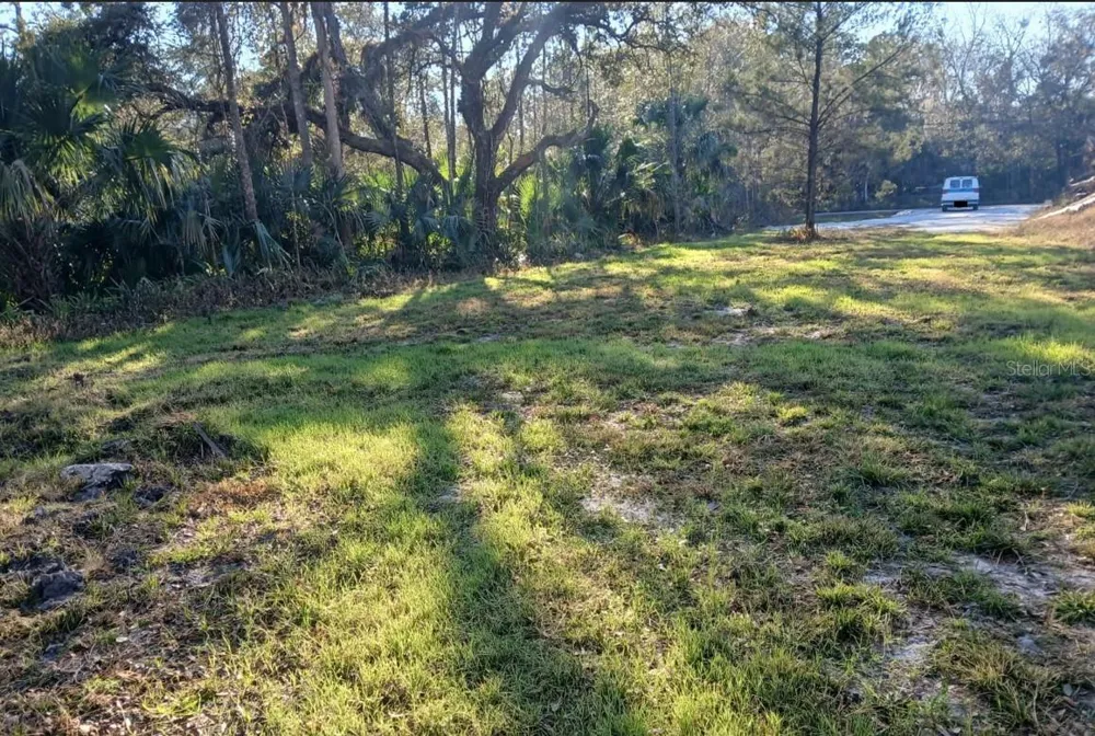 1013 CUPID AVENUE Christmas, FL 32709