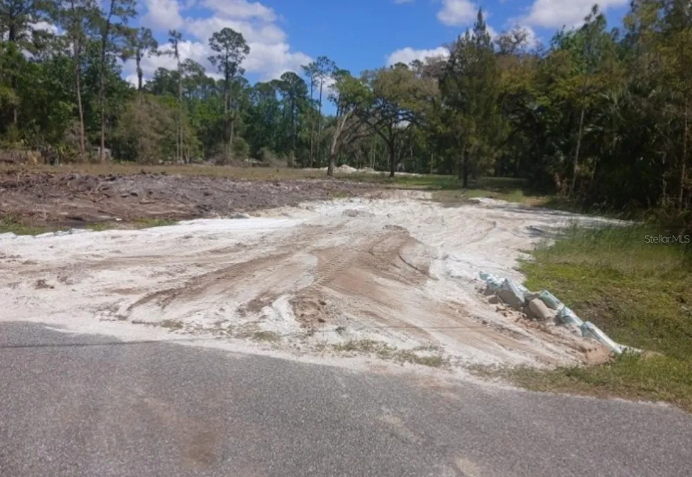 1013 CUPID AVENUE Christmas, FL 32709