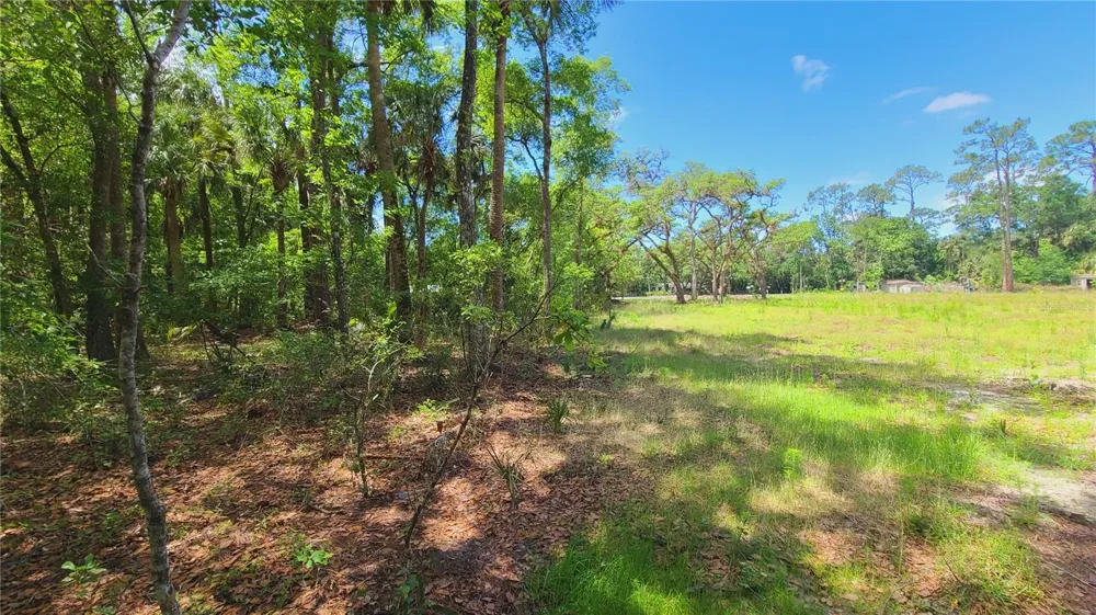 1013 CUPID AVENUE Christmas, FL 32709