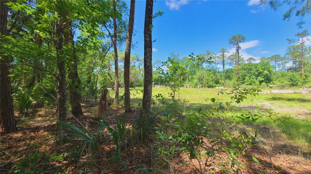 1013 CUPID AVENUE Christmas, FL 32709