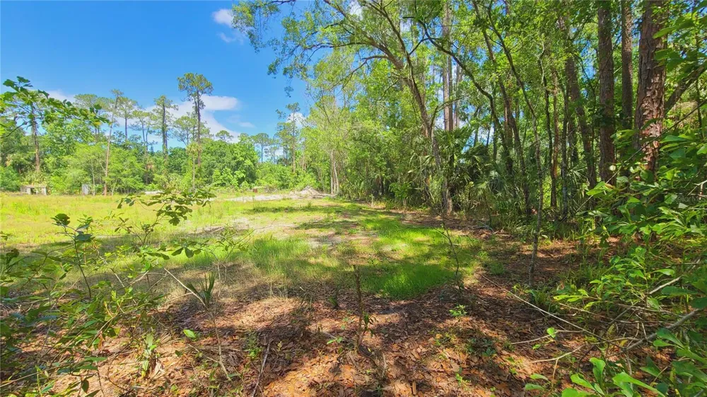 1013 CUPID AVENUE Christmas, FL 32709