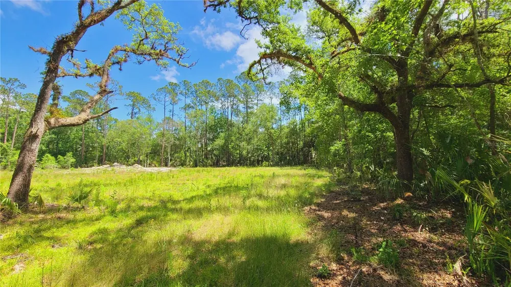 1013 CUPID AVENUE Christmas, FL 32709
