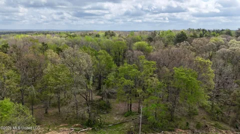 Mississippi 7