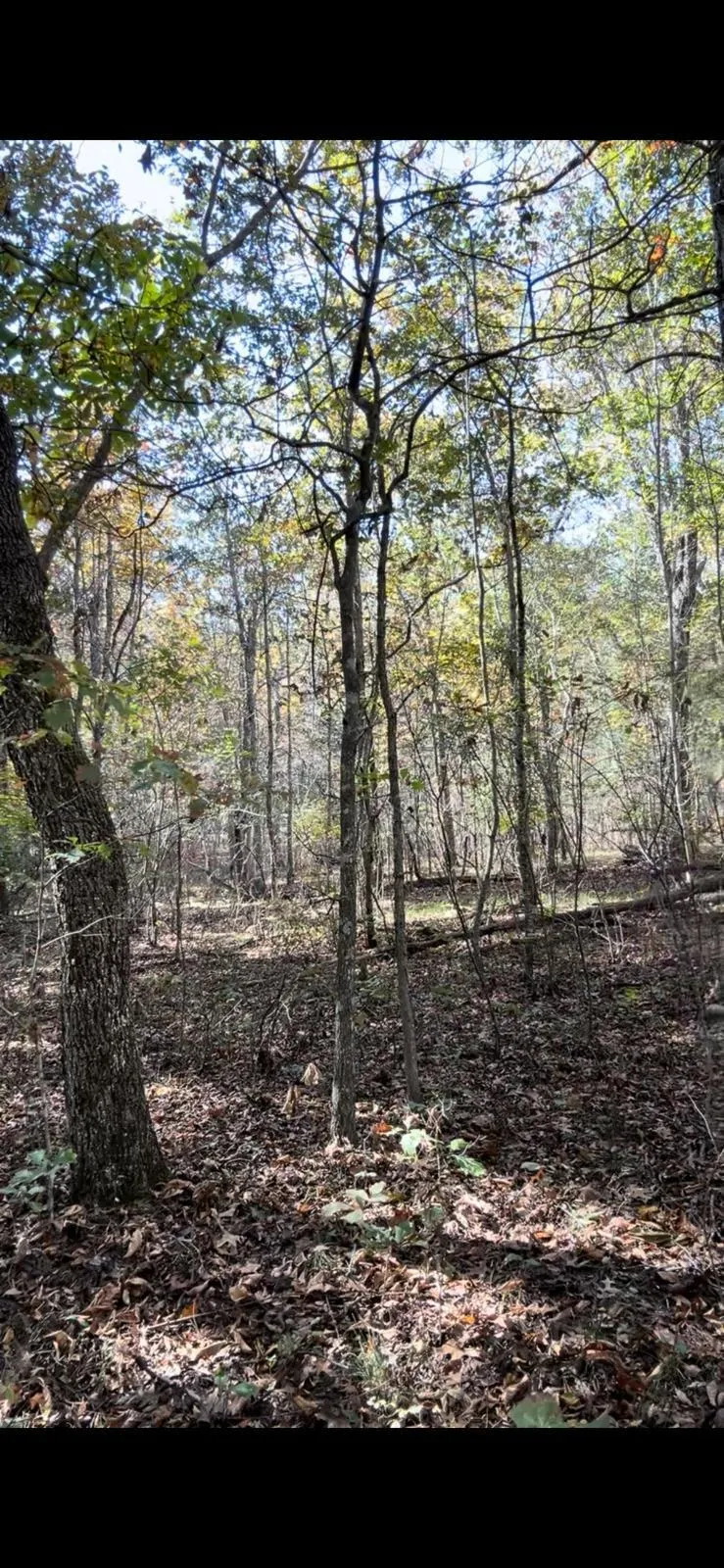 3329 Oswego Road Crossville, TN 38572