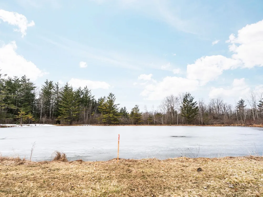 89 River Drive Butterfield Township, MI 49667