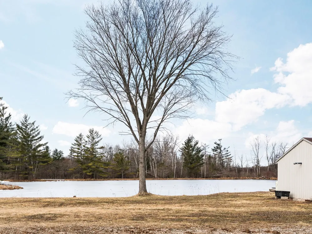 89 River Drive Butterfield Township, MI 49667