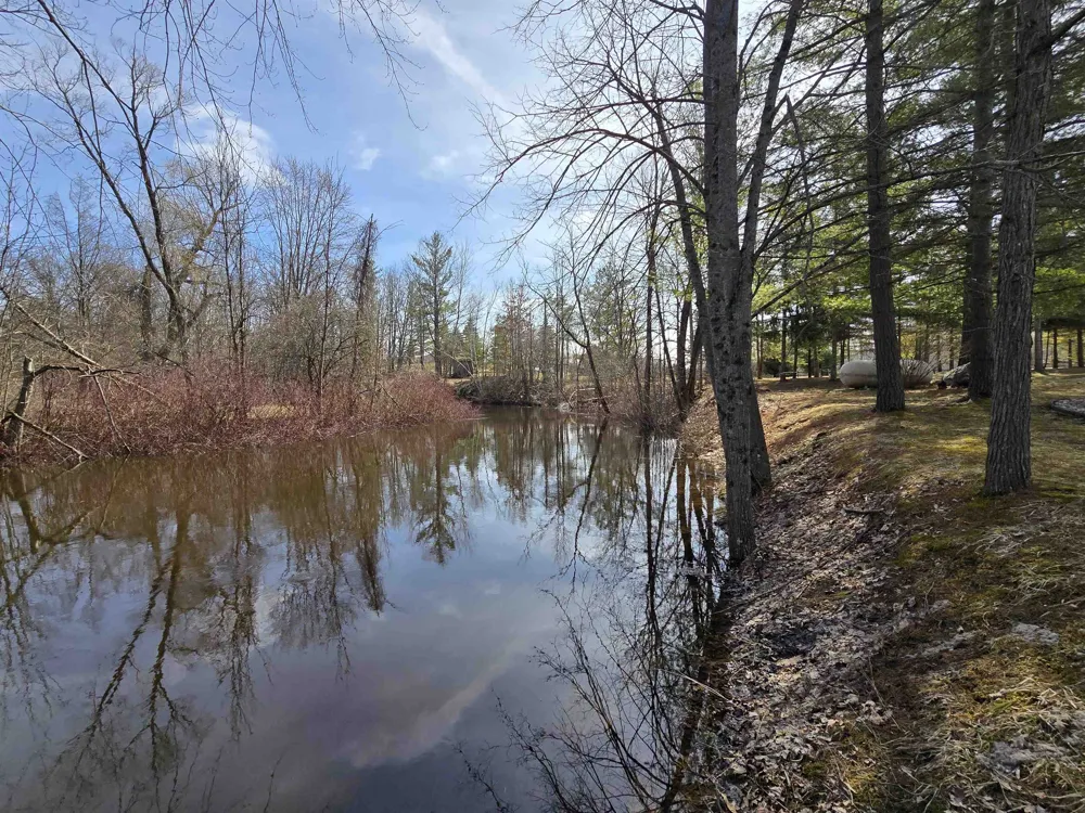 89 River Drive Butterfield Township, MI 49667