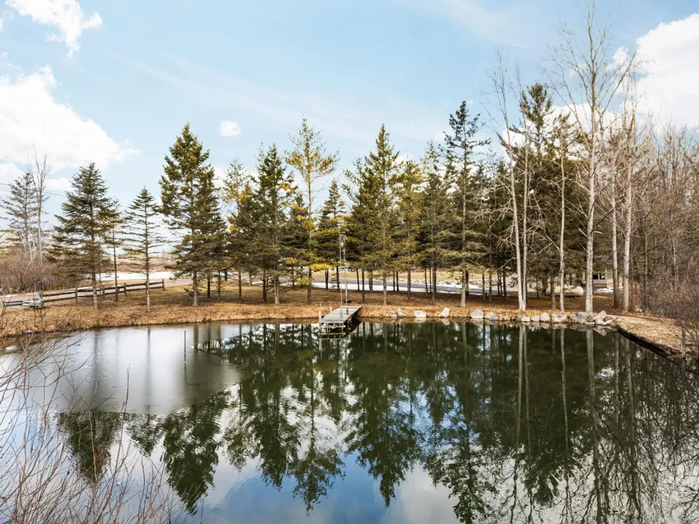 89 River Drive Butterfield Township, MI 49667