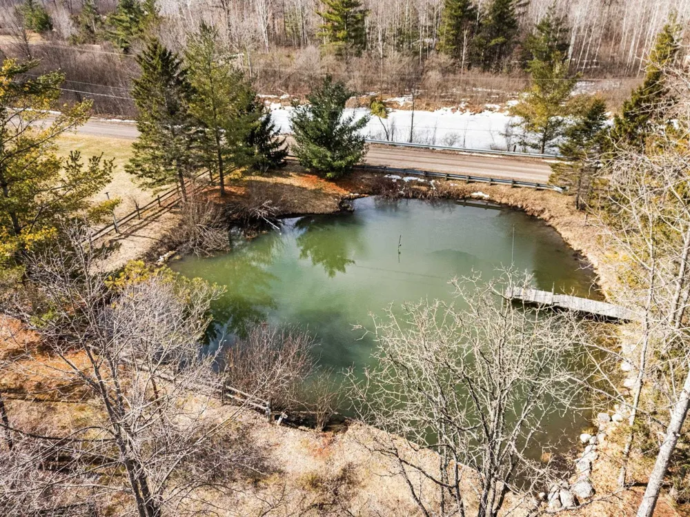 89 River Drive Butterfield Township, MI 49667