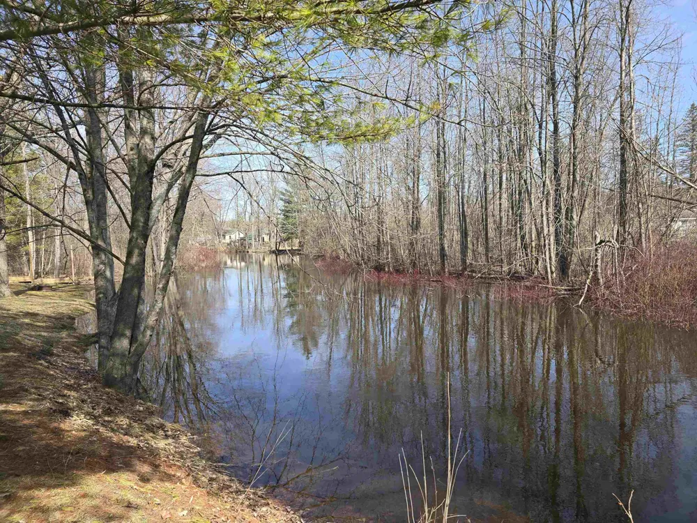 89 River Drive Butterfield Township, MI 49667