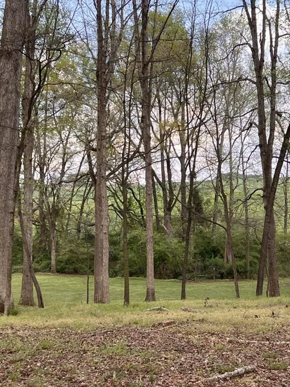 3386 Chandler Road Good Hope, GA 30641