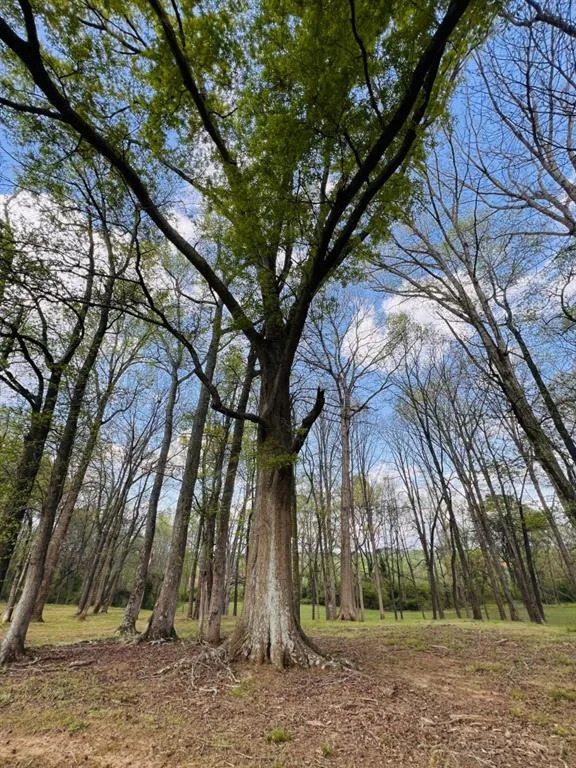 3386 Chandler Road Good Hope, GA 30641