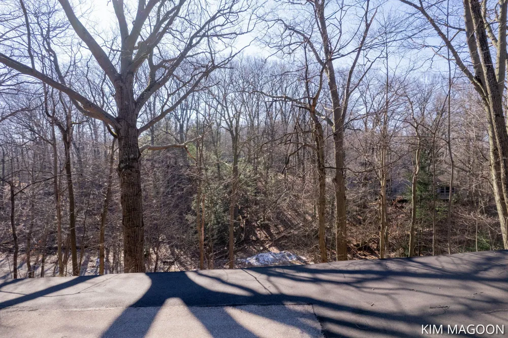 45 Valleywood Court Holland, MI 49423