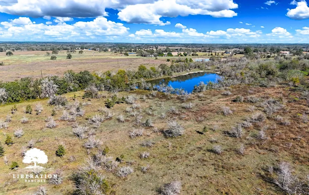 13316 Farm To Market Rd 2620 Tract 7 Bedias, TX 77831
