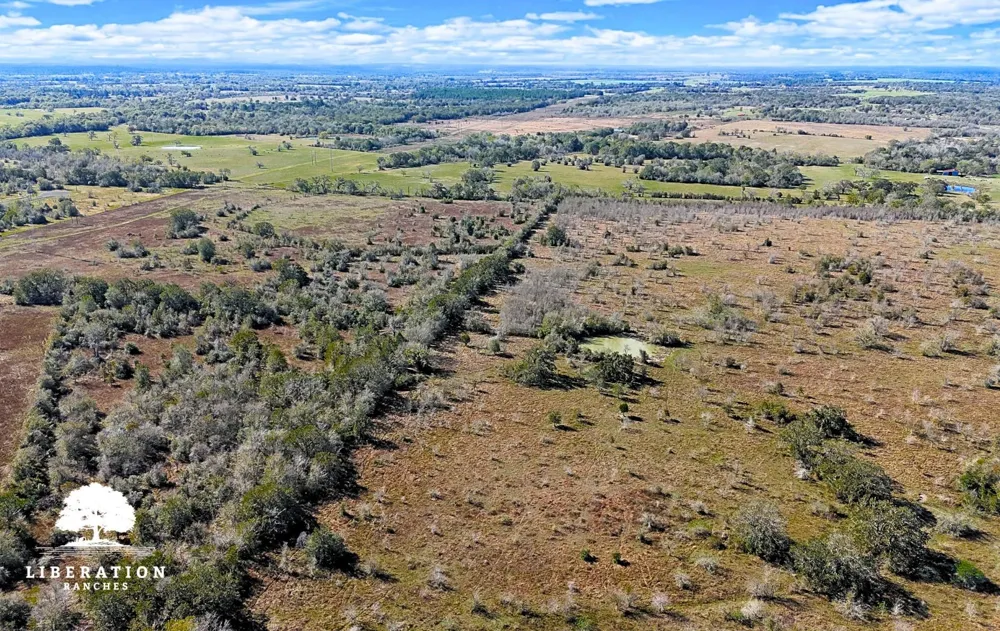 13316 Farm To Market Rd 2620 Tract 7 Bedias, TX 77831