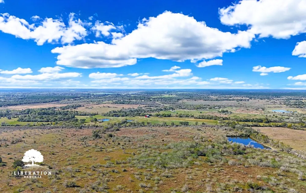 13316 Farm To Market Rd 2620 Tract 7 Bedias, TX 77831