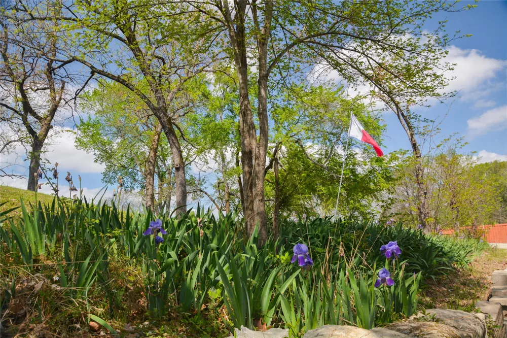 545 VZ County Road 2923 Mabank, TX 75147