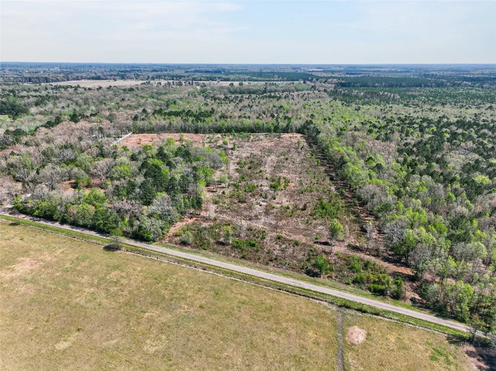 14 County Road 4223 Simms, TX 75574