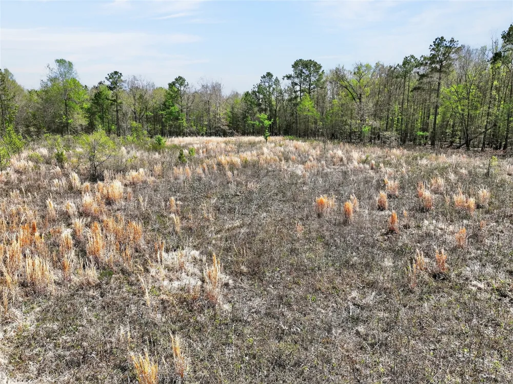 14 County Road 4223 Simms, TX 75574